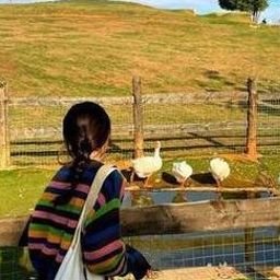 🇺🇸 Bold spirit, open heart. I like hiking 🥾, traveling ✈️, writing ✍️, and music 🎵. Journey with joy.