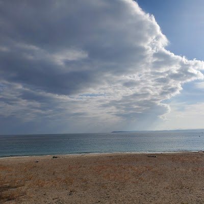 zOMIbhtIph44727's profile picture. 