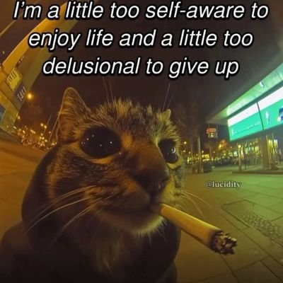 YossuePRjP_3312's profile picture. Escritor aficionado (O intento de) | 20 | Usuario canchero y amigable.