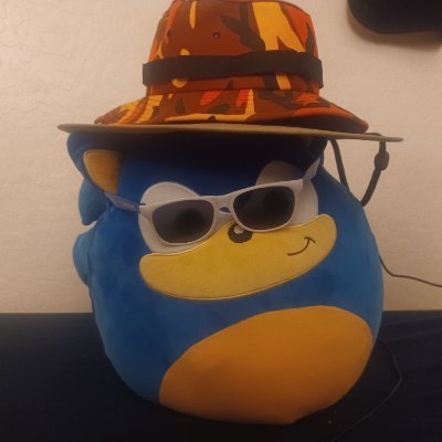 A wanderer on the internet. A big fan of Angry Birds, Sonic, Object Shows, Mario, PvZ, and many more. Currently at age 21, will be 22 in about a month.