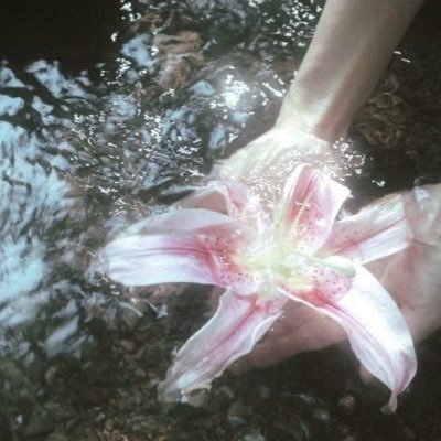 thooughts__'s profile picture. «فصل خامس حايرٍ بين الفصول الأربعة»