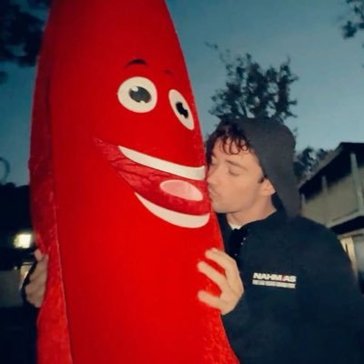 anambp0's profile picture. Leclerc’s version ❤️