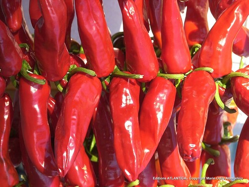 AGNESFTV's profile picture. 