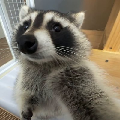 peterさんのプロフィール画像