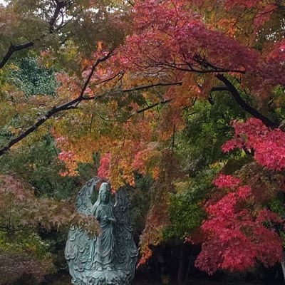 kankan1992v's profile picture. スポーツが好きです。
家庭平和を応援します!
スパイ防止法を応援します！