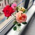 小花爱看烟花(互fo) (@huaxia1921) Twitter profile photo 小花爱看烟花(互fo) (@huaxia1921) Twitter profile photo