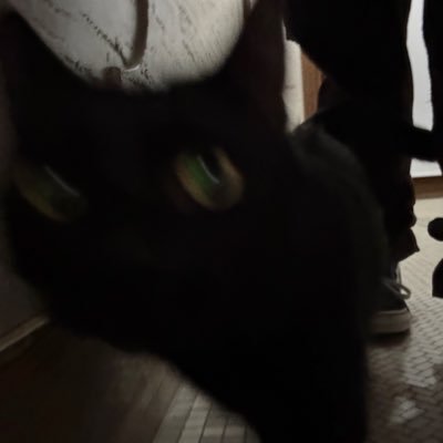 itssidravi04's profile picture. sid the science kid except i dont particularly enjoy science