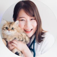 猫の食事専門 獣医師🐈 Dr.Sayaka Kaburaki (@neco_gohan__) 's Twitter Profile