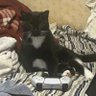 elisha1542's profile picture. History babe - Queer Wobbly - Communist in so-called Missouri 🏳‍⚧🏳‍🌈 - She/Her