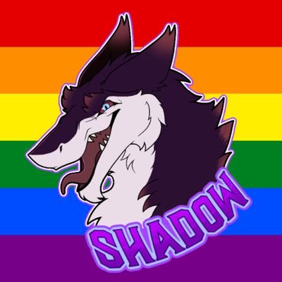 SergalShadow's profile picture. Public Account for @SergalShadow 
AD @SergalShadowAD,
Gay🏳️‍🌈, Aro💚🤍🩶🖤