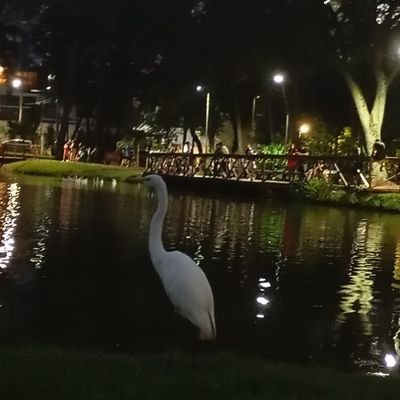 JuniorWeve30924's profile picture. 