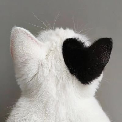 v_viewfinder's profile picture. 