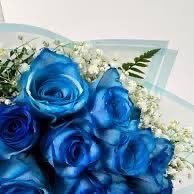 اللهم إني أسألك الجنة وما قرب إليها من قول وعمل، وأعوذ بك من النار وما قرب إليها من قول وعمل، اللهم إني اسألك رضاك والجنة وأعوذ بك من سخطك والنار.
