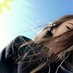 Malbui (@malbui0512231) Twitter profile photo Malbui (@malbui0512231) Twitter profile photo