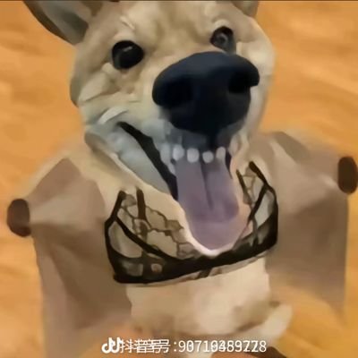 zhngxufng229478's profile picture. 区块链最自由的男人