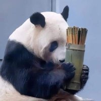 กจด. 。˚ ❀ | (@korjado_0) 's Twitter Profile