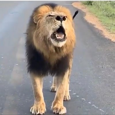 mhaz46788's profile picture.