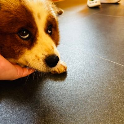 Pa33597Park's profile picture. 