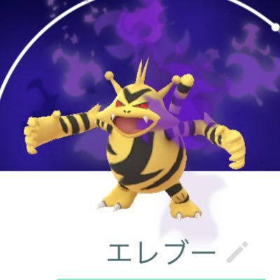 ポケGO垢/エレブー推しポケ/まったりソロ勢/無言フォロ失礼します