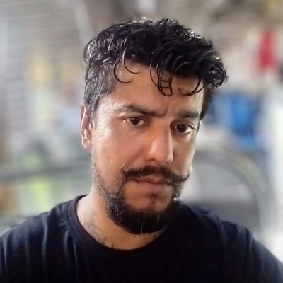 ravianilsingh's profile picture. web programmer