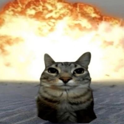 djevok9nxjs's profile picture. 