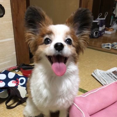 NKohji_54's profile picture. 映画好き。一応何でも観る雑食タイプ。 https://t.co/aOOGiKmMDb  filmarksやってます。野球は千葉ロッテ。ゲームはレトロゲーにファルコム、ペルソナとスパロボが特に好物。ソシャゲは興味なし。他はアニメとパチスロ、美術館巡り。知らない街を迷子覚悟で歩き回るのも大好き。