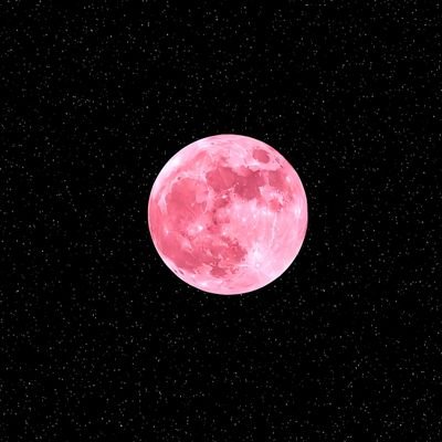 extremelyempty's profile picture. 