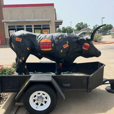 915BurgerKing's profile picture. 