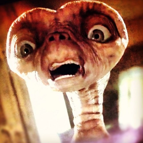 marinemonkee's profile picture. Traveling without Moving... #HumansAreShit #ClimateChangeNow #OneEarth