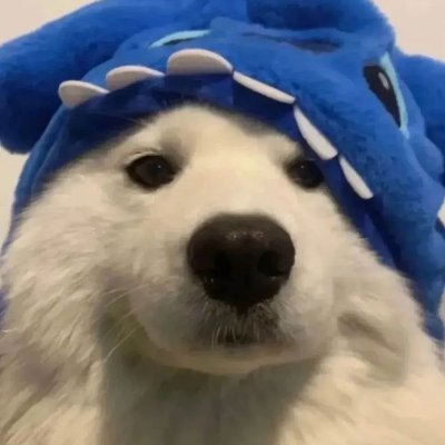 ItsBoppi's profile picture. | 23 | Any Pronouns | Creative Writer | #OnePride