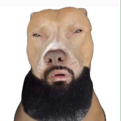 Wholelotta7916's profile picture. 