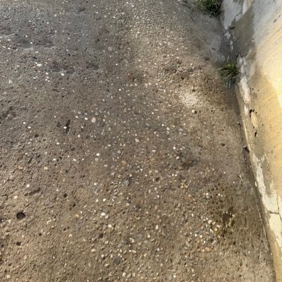 LunguNicoleta72's profile picture. insta: gjtujg