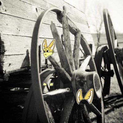 jake_sites12's profile picture. Sahara #0169603