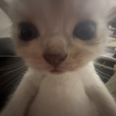 thxadhbcdjj's profile picture. femdom's don't dm 
i won't give you money