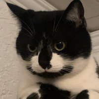 Pittiplatsch 💙♥️⬛️🟥🟨♥️💙 (@opa164) 's Twitter Profile Photo