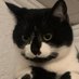 Pittiplatsch ♥️⬛️🟥🟨♥️💙 (@opa164) Twitter profile photo Pittiplatsch ♥️⬛️🟥🟨♥️💙 (@opa164) Twitter profile photo