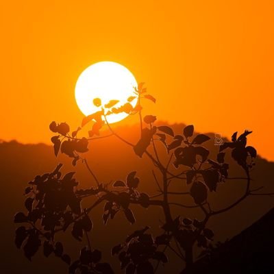 unluckyugandan's profile picture. Arsenal fan⚽.....music addict🤞