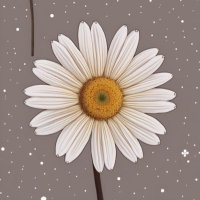 Hola (@friable9s) 's Twitter Profile