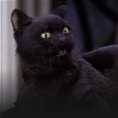 @synacknz