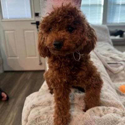 Robertgarcia109's profile picture. Entrepreneur ||