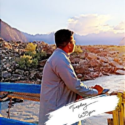 cricket journalist and world consulting agency