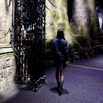 Slytherin 💚🐍 Bellatrix🖤💀