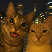 Madridsta (@pallabroy21) 's Twitter Profile