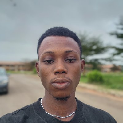 RealJibbs's profile picture. Data_Analyst | Geophysics | Crypto