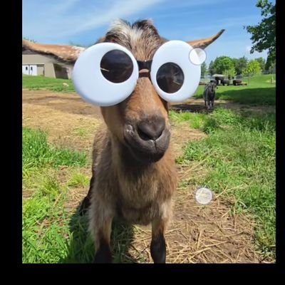 I'm the GOAT