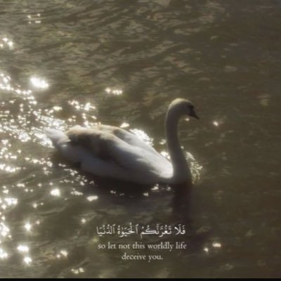 SaniaMuhammad25's profile picture. Peace 🕊️