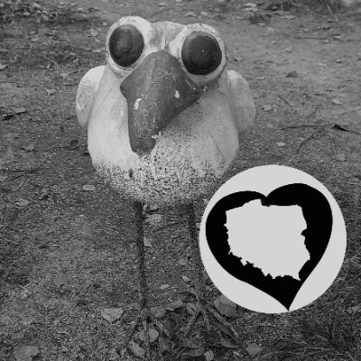 Iggy__Popp's profile picture. Ten profil jest już nieaktywny. 
Jestem tylko tu: https://t.co/jQD6nl6JMh