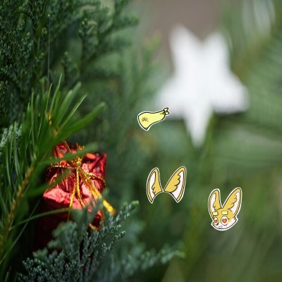 N_Daichi1's profile picture. 和歌山大学 経済学部1回 ビジマネSahara #0177217