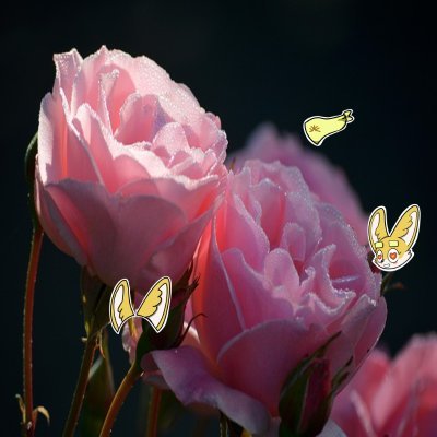 Witney_m's profile picture. NoneSahara #0177213