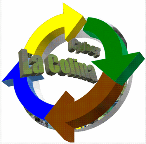 Nacimos en el 2010, como un sitio de recreación de juegos por computadoras en red, comercio de papelería e investigación, realización de proyectos de investí.